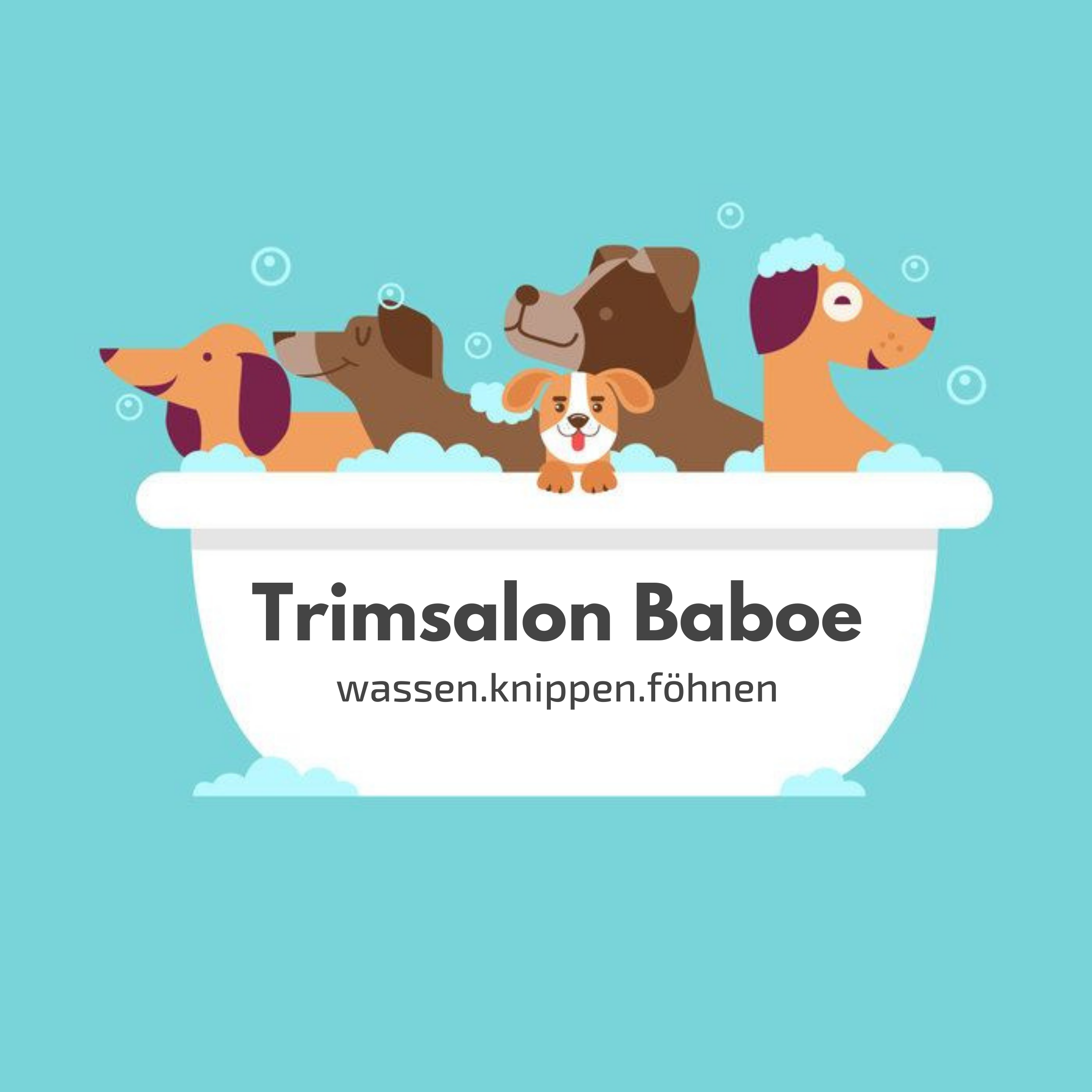 Trimsalon Baboe - Logo Vierkant